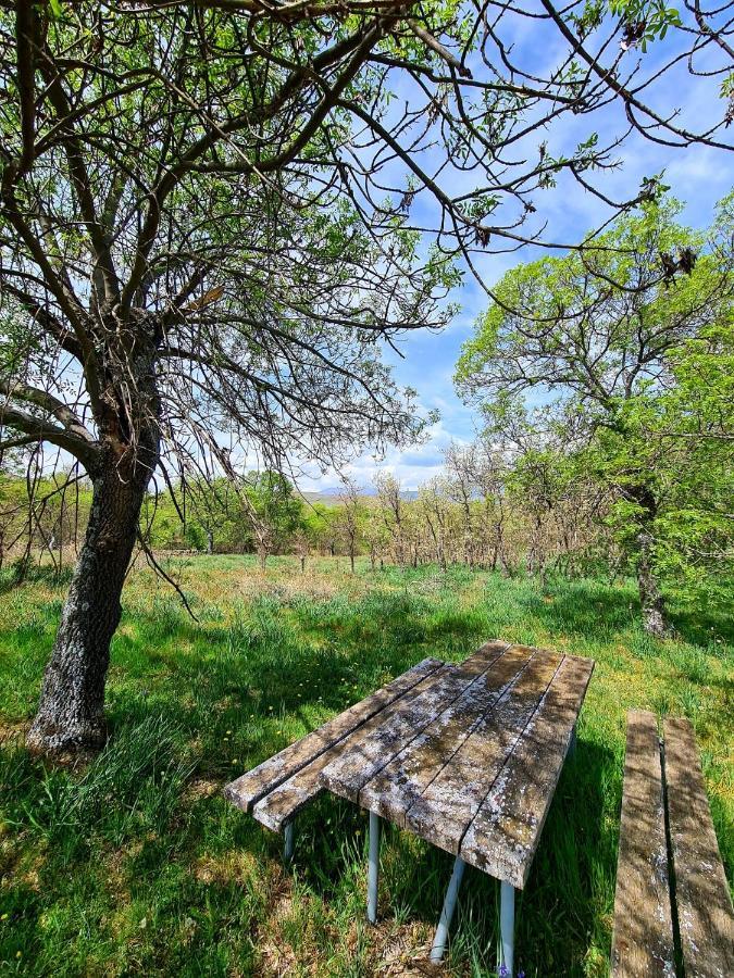 Acogedora Y Romantica Casita En La Sierra Garganta De Los Montes Esterno foto