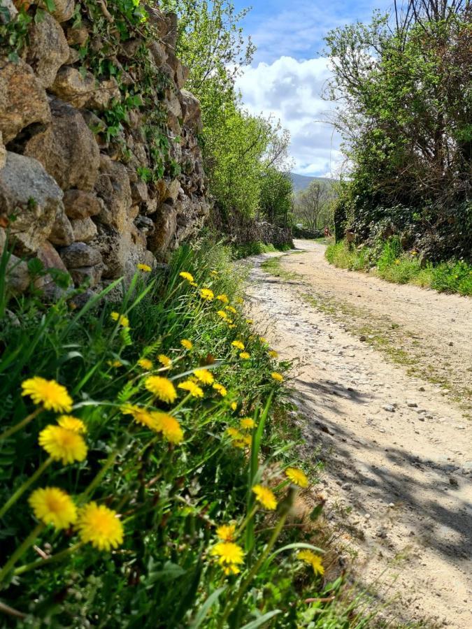 Acogedora Y Romantica Casita En La Sierra Garganta De Los Montes Esterno foto