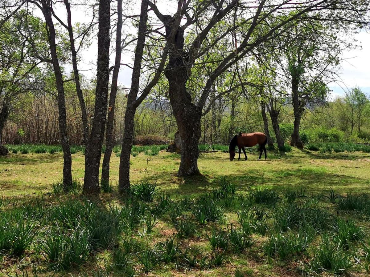 Acogedora Y Romantica Casita En La Sierra Garganta De Los Montes Esterno foto